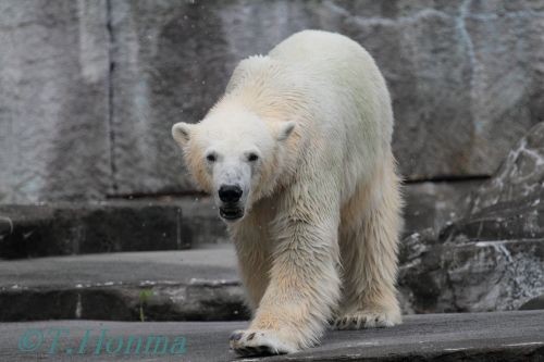 ７月２８日　浜松キロル　閉園ですよー