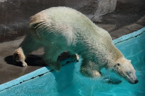 9月23日のお昼頃からおやつタイム前までのキロル