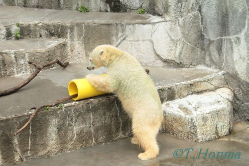 キロル　浜松動物園　１１月１０日の3