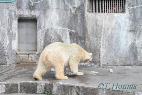 キロル　浜松動物園　１１月１０日の4