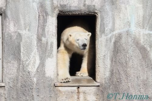 キロル３才の誕生会　１２月１１日　浜松動物園その２