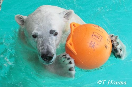 ３月１１日　浮き遊び