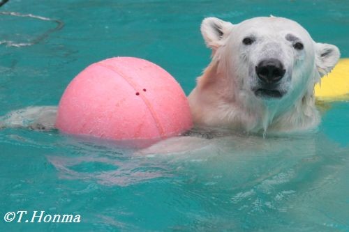 ３月１７日　続き