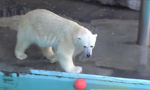 今日のキロル４月２８日浜松市動物園