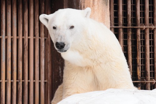 ６月３０日　大阪　天王寺動物園
