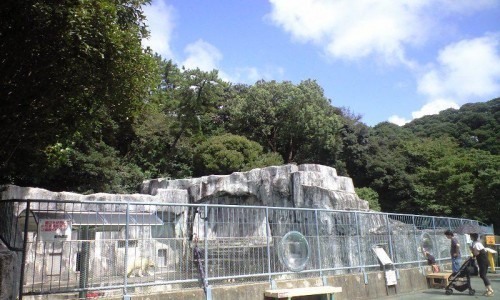 蒸してますが風が吹いている