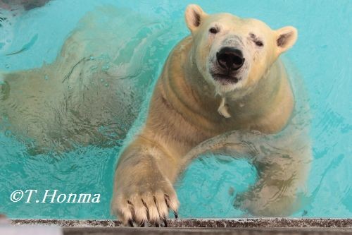 最近の朝のキロル　22日の秋分の日