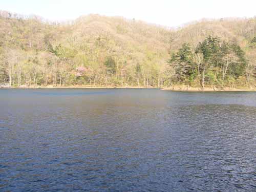 ぼくの湖