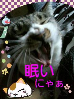 たらいまぁー
