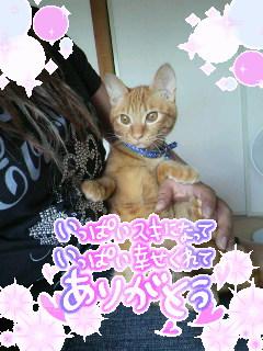 リルラママと
