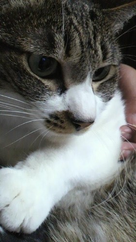 ずる休み(^-^)/