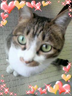 トントンしてぇ～