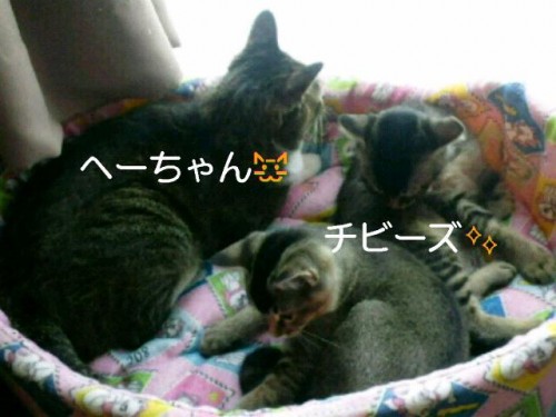 休日最終日(^o^ ゞ
