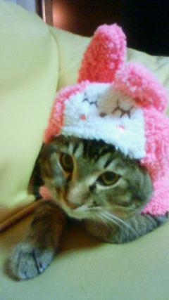 里親さん家で♪