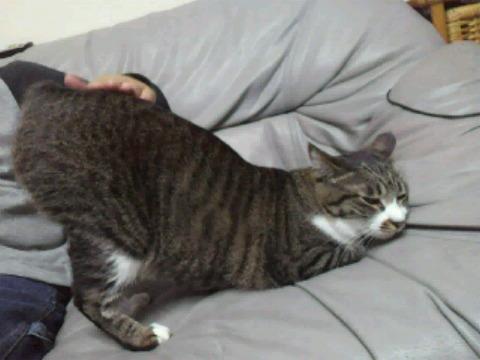 息子の仲間達(〃⌒ー⌒〃)∫゛゛