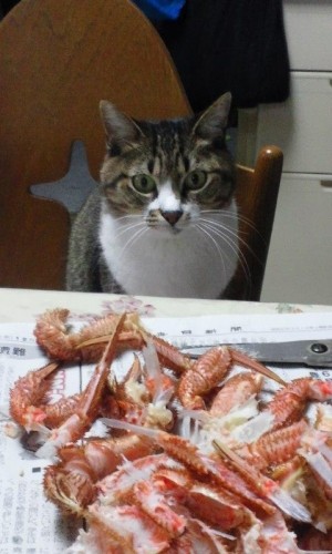 女風呂見るぅ？(*^^*)