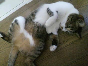 お母ちゃんとお休み(^-^ゞ
