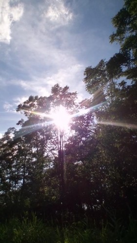 あ～ちぃ～。。。…in鉄矢家