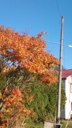 紅葉を見に行こうよう！！…in鉄矢家