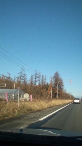 青空、寒空、初冬…in鉄矢家
