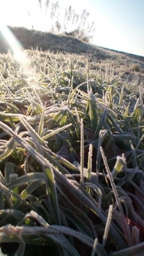 豊頃、隠れ家、霜！…in鉄矢家