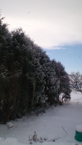 帰って来ました隠れ家！…in鉄矢家