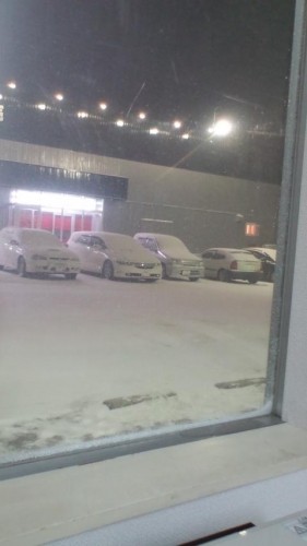 風邪気味？吹雪？変なテンション？…in鉄矢家