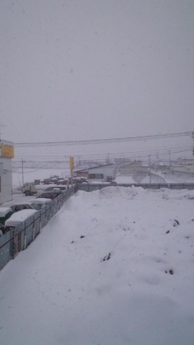 今日と明日は…in鉄矢家