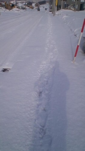 また雪？…in鉄矢家