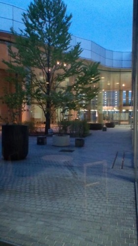 一日目終了…in鉄矢家