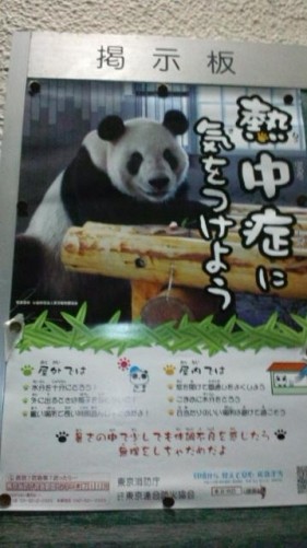 何だ?パンダ?夏だー!…in鉄矢家