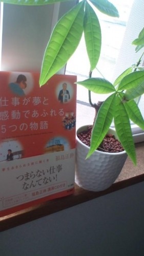 休日、初夏、忘れてたレポート(汗)…in鉄矢家