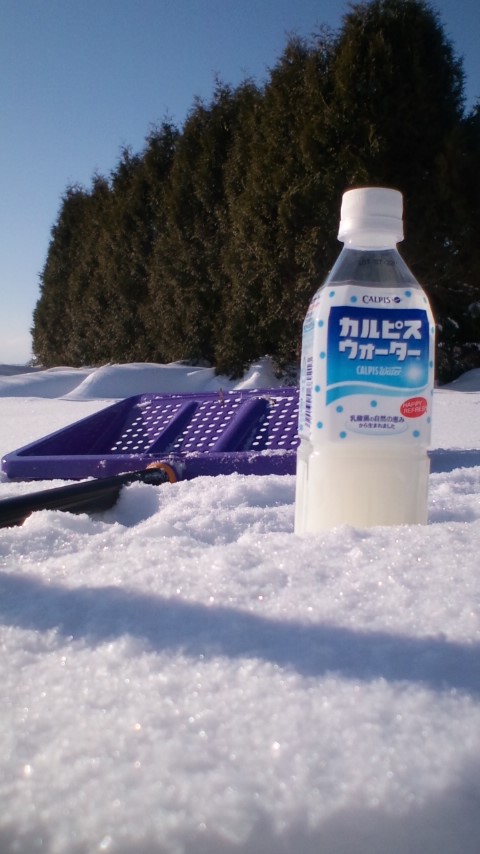 除雪!温泉!ぶら鉄矢!・・・in鉄矢家