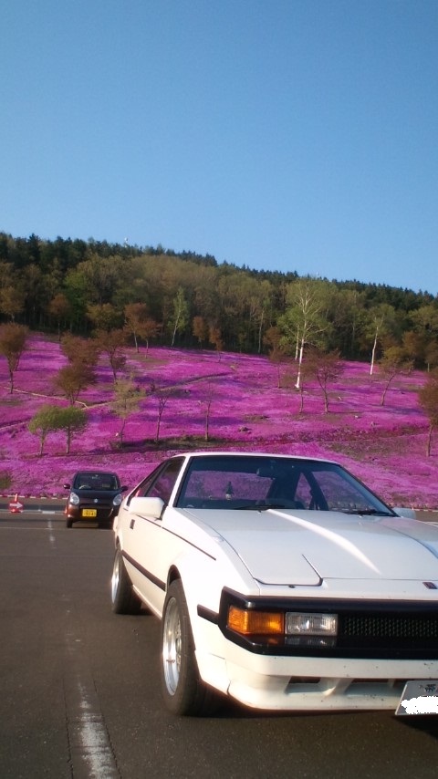 『ぶら鉄矢(芝桜!)』・・・in鉄矢家
