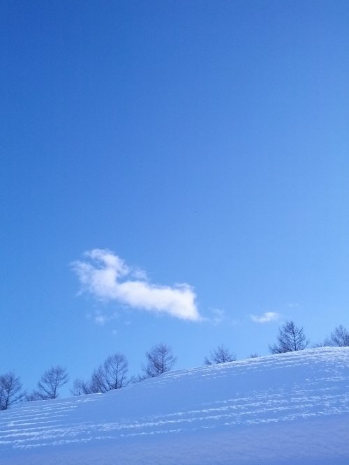 熱意は、きっと!&素敵なイベントのお知らせ