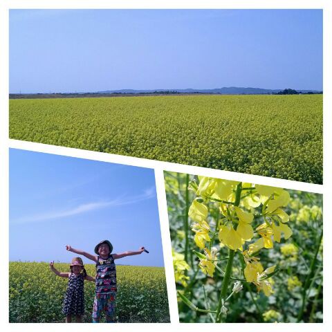 もりもり盛り沢山のありがとう~♪