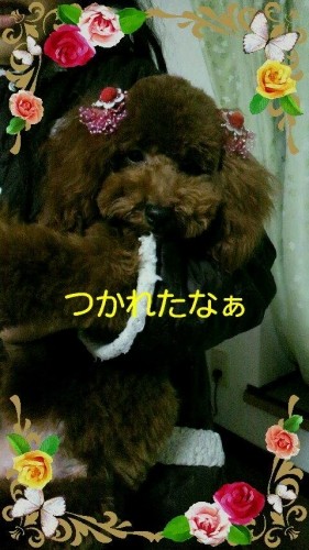 ただいま