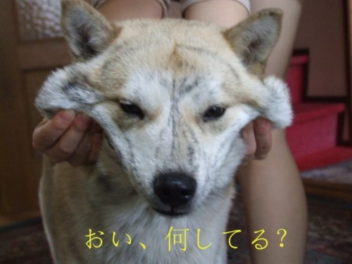 えっ?これにタイトル付けろってか??
