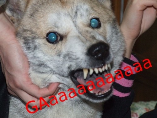 UGaaaaaaa~~~~~