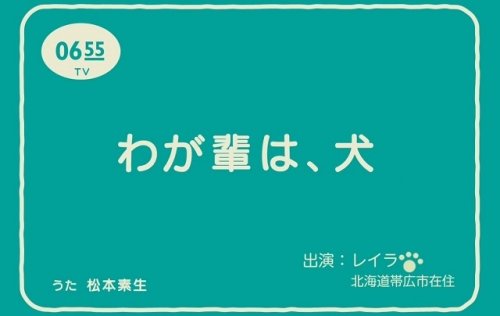 NHKにレイラが出演！？