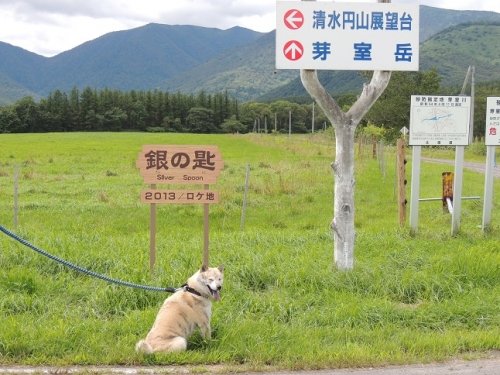 展望台巡り。