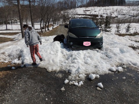 登山のハズが(^_^;)