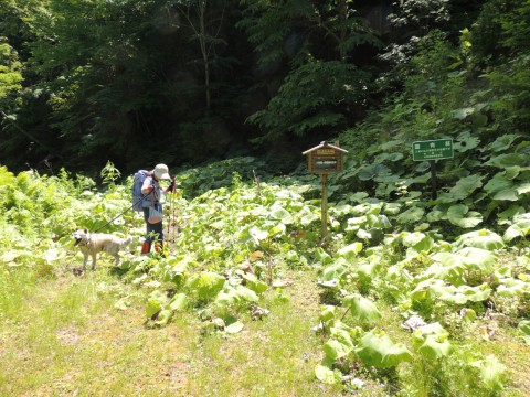 川遊び(^ω^)