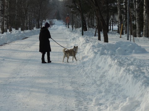 公園散歩