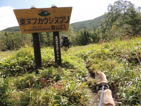 東ヌプカウシヌプリ