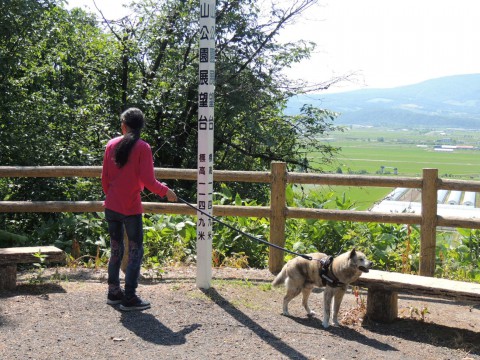 深川丸山公園展望台