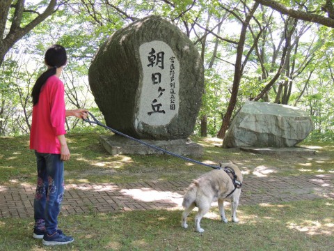 富良野なまこ山。