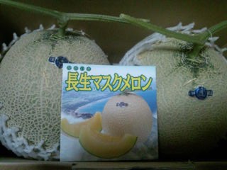 ズッシリ”メロン”が届きました！