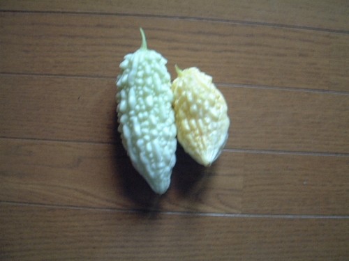 白い野菜”ゴーヤ・ズッキーニ”美味しそう！