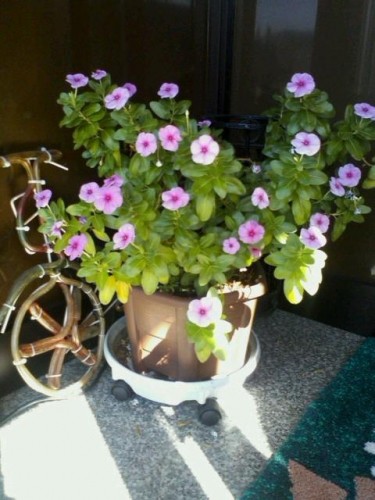 はーとです(^ ω^)